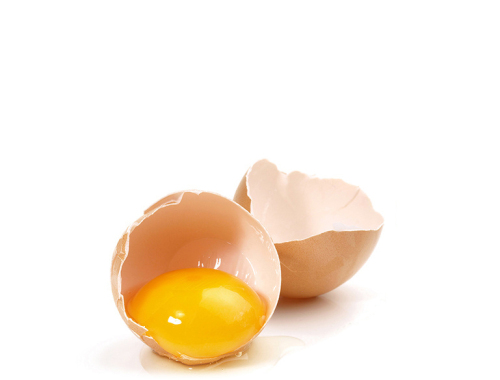 Anpel Laboratory Testing Fipronil in Eggs