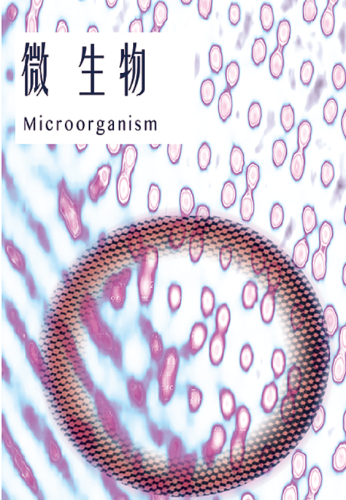 Determing BDE－209 in the Microbial Degradation System by Solid－phase Extraction and HPLC