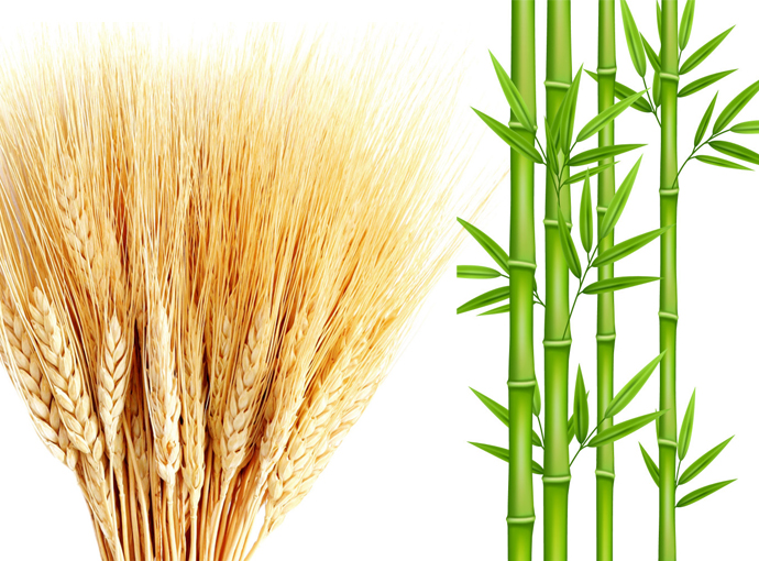 Bamboo, Wheat fiber Electronics