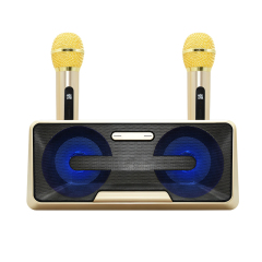 New Design Karaoke Bluetooth Speaker With Microphone