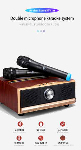 High Quality Wireless Karaoke Microphone Speak For Family Ktv