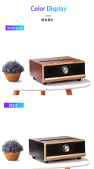 High Quality Wireless Karaoke Microphone Speak For Family Ktv