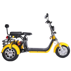 New Popular Harley Locomotive