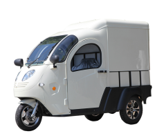 New Style Small and Useful Electric Car