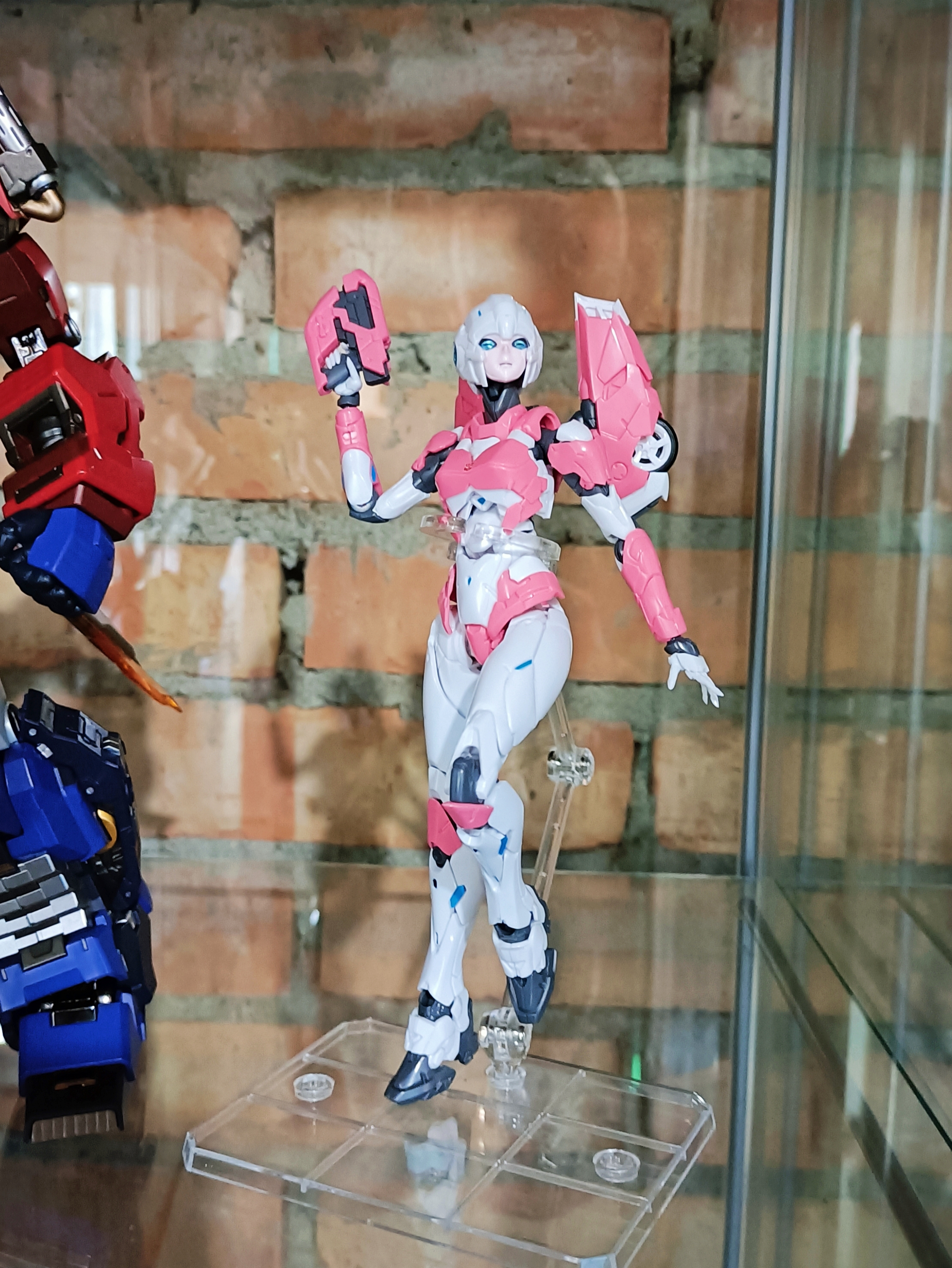 Show.Z Store