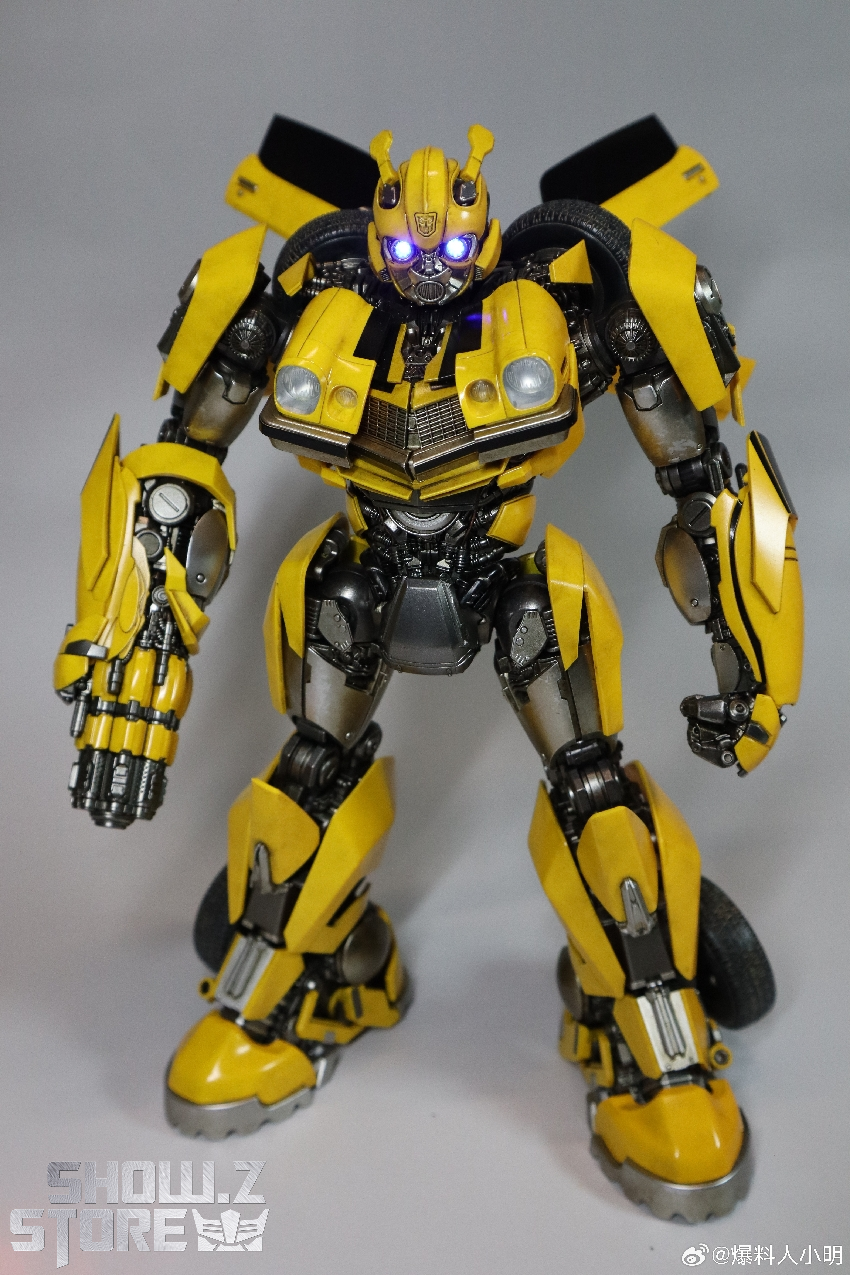 Shops threea bumblebee