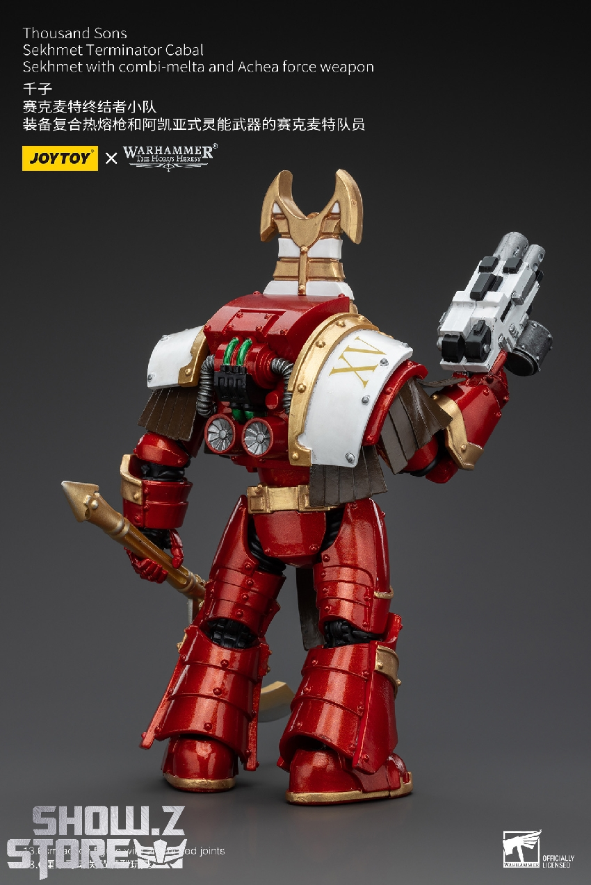 Figurine Warhammer 40K - Rabiot Space Wolves - Occasion (P-00JQ8)