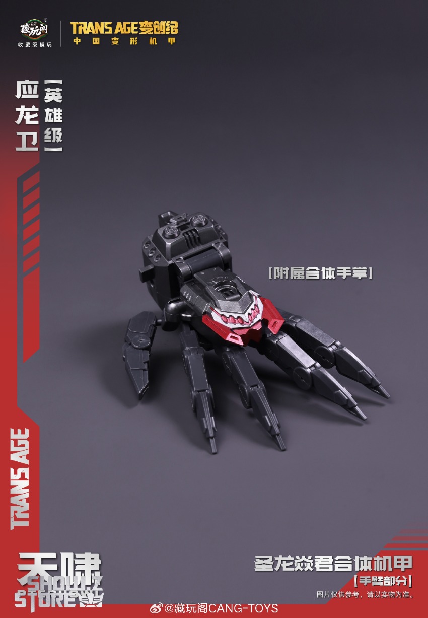 Cang-Toys TA-HYL002 Longyan Hero Class Pterhowl Swoop - ShowZ Store