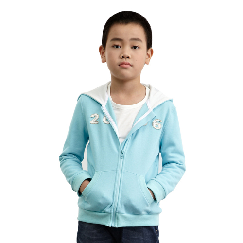 Guangzhou SOP Garments children clothes boys hoodies zip custom cotton hoody sweatshirts