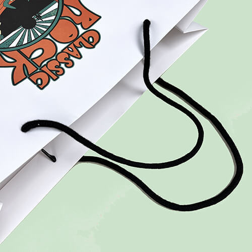 Custom Printed Paper Bag With Matt Lamination