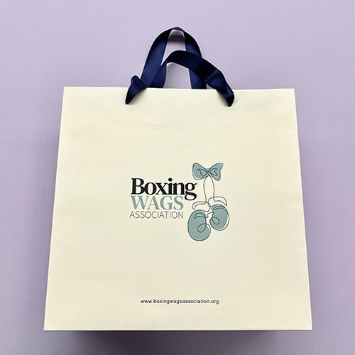 Custom Coated Paper Bag With Ribbon Handle