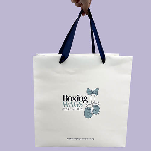 Custom Coated Paper Bag With Ribbon Handle
