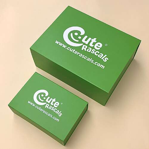 Custom Foldable Magnetic Lid Box