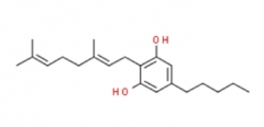 Cannabigerol(CBG).POWDER