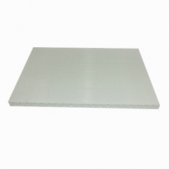 THERMOPLASTIC SANDWICH PANEL