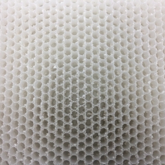 Thermoplastic Honeycomb