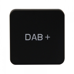 Externe DAB-005 Digitale Radio Tuner für Wince 6.0 Autoradio 
