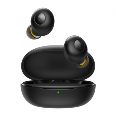 Realme Buds Q Wireless Earphones