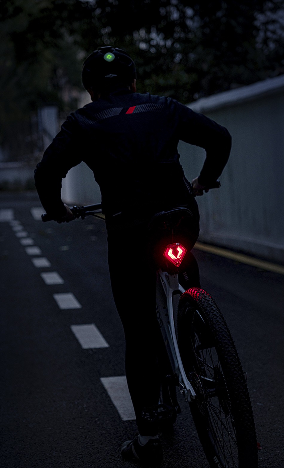 ROCKBROS EESENS SCHILD Bike Schwanz Licht 