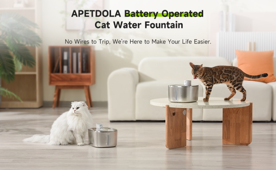 Fontaine à eau pour chat 4L, capteur automatique, fontaine à boire
