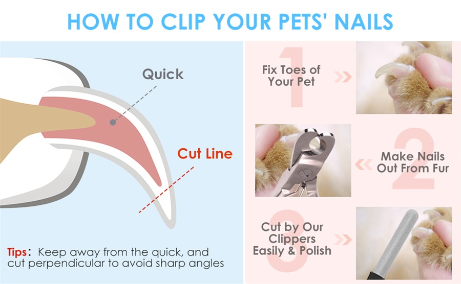 Claw trimmer with nail file