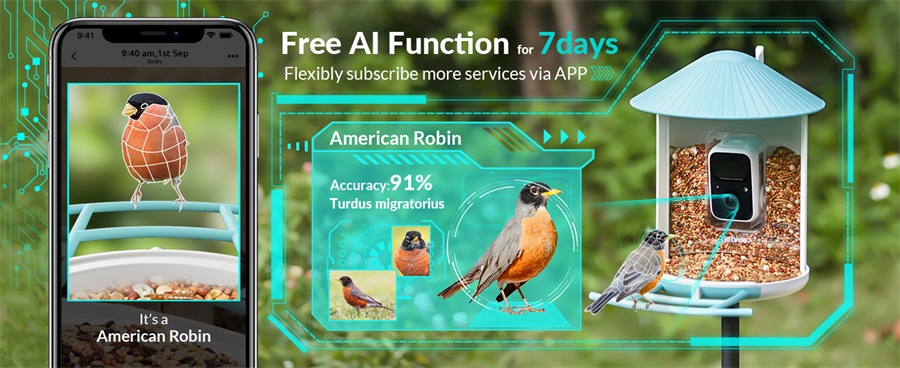 NETVUE Birdfy Lite Smart Vogelfutterstation