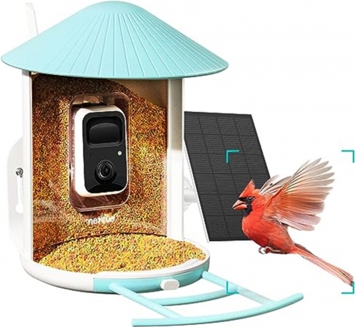 NETVUE Birdfy Lite Mangeoire à oiseaux intelligente avec panneau solaire, caméra d'observation des oiseaux, enregistrement vidéo des oiseaux