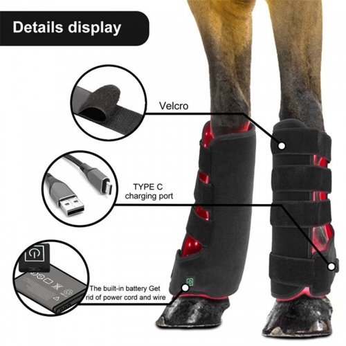 Muscle d'animal de compagnie infrarouge de lumière rouge tirant la jambe de chevaux de récupération douloureuse