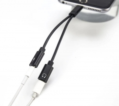 2 in 1 Dual Lightning Audio Kopfhörer und Lade adapter für iPhone
