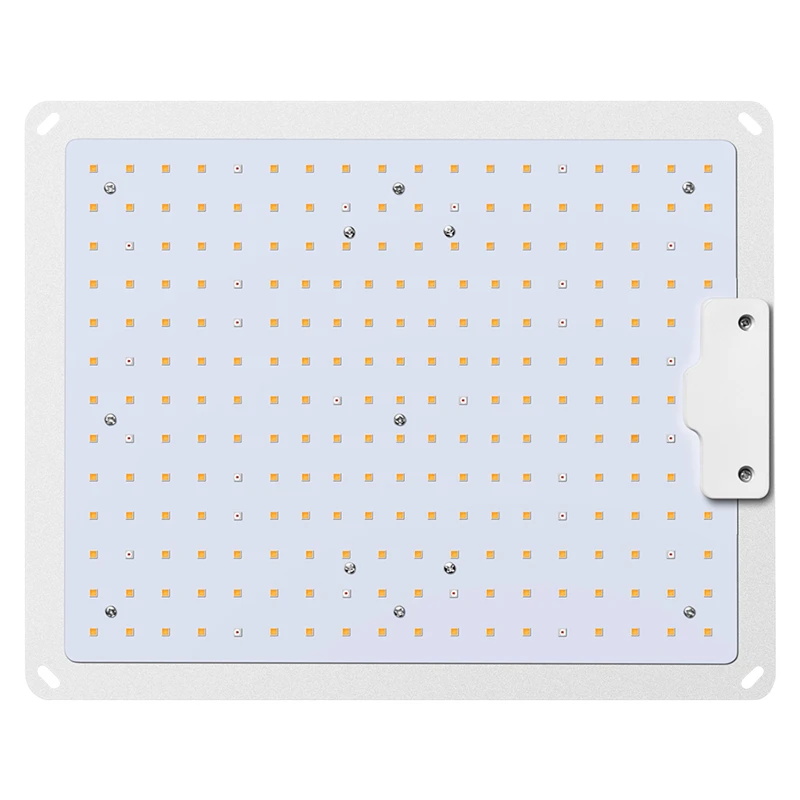 LED Anlage Wachsen Lichter Gesamte Spektrum