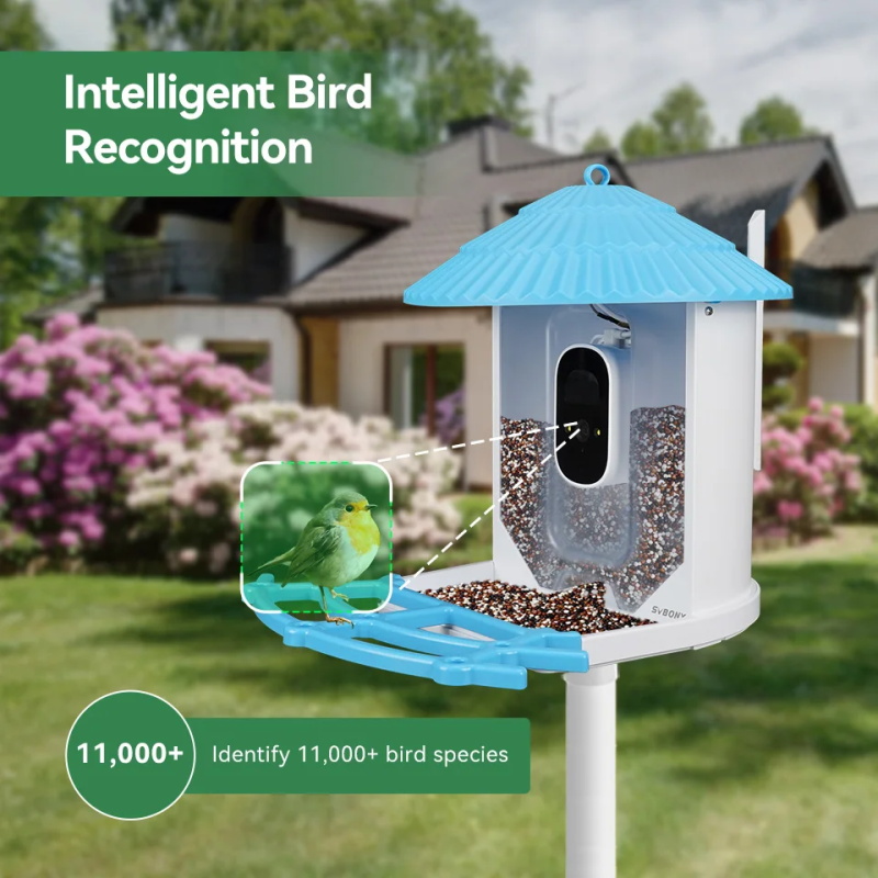 bird feeder camera