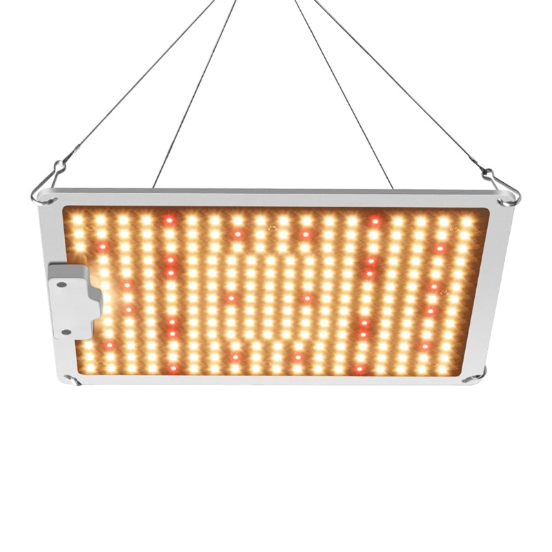 LED Anlage Wachsen Lichter Gesamte Spektrum