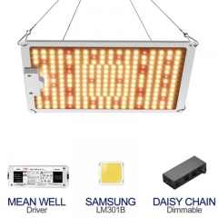 Lampe LED pour culture de plantes, 1000W, variable, spectre complet, IP65, puce Samsung, panneau quantique Meanwell, pour boîte de tente de légumes