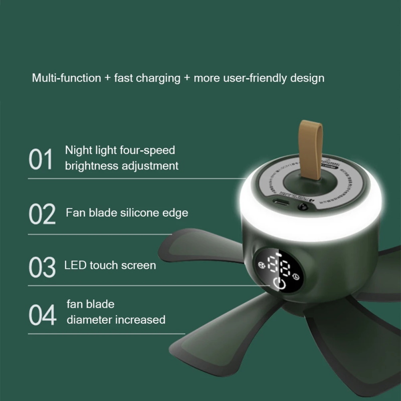ceiling fan with LED