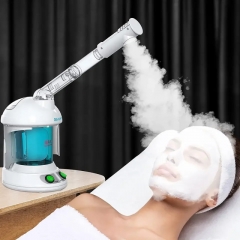 Vaporisateur de brume faciale personnalisé, vaporisateur vapeur facial portable pour le visage, vapeur ionique professionnel, offre spéciale