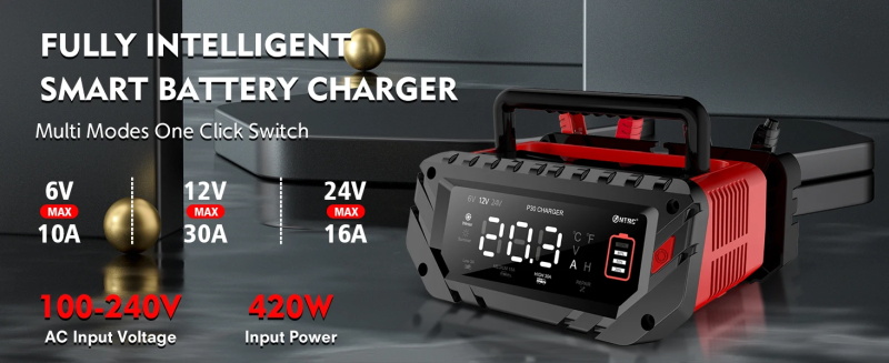 Chargeur de batterie de voiture 12V 30A