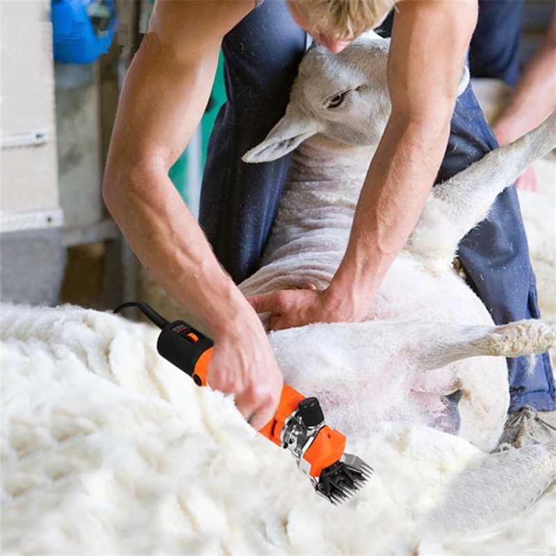 wool shearing machine