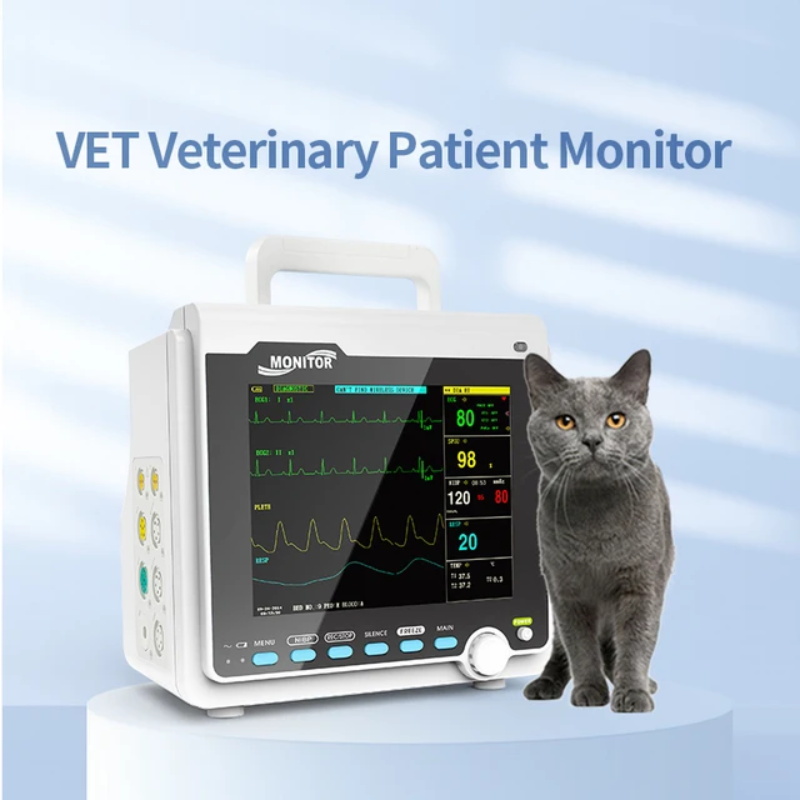 tragbarer Patienten monitor