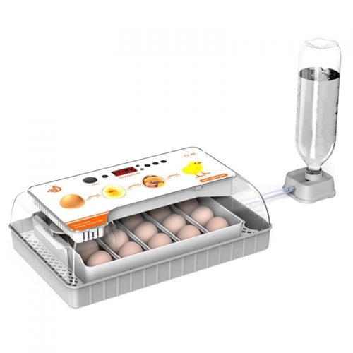 Incubateur d'œufs à couver, rotation automatique des œufs, 20 œufs, écran d'affichage d'éclairage efficace à LED pour les éleveurs de volailles