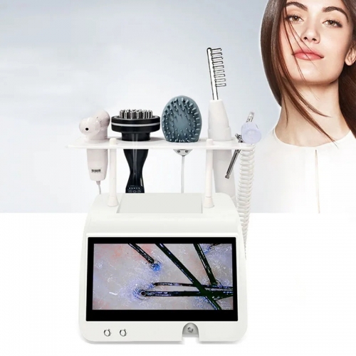 2024 Professional 5 in 1 Hair Scalp Care Machine Nanometer Spray Hair Therapy Machines Anti Hair Loss Scalp Massage Device