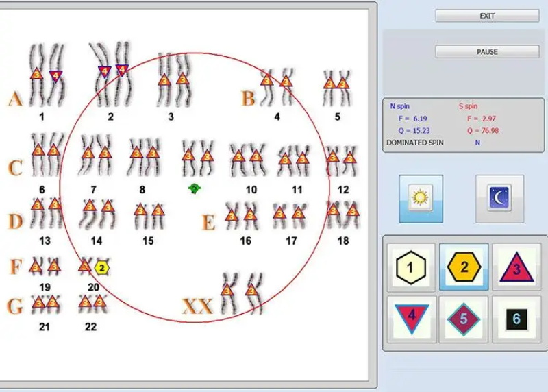 Quantum body analyzer