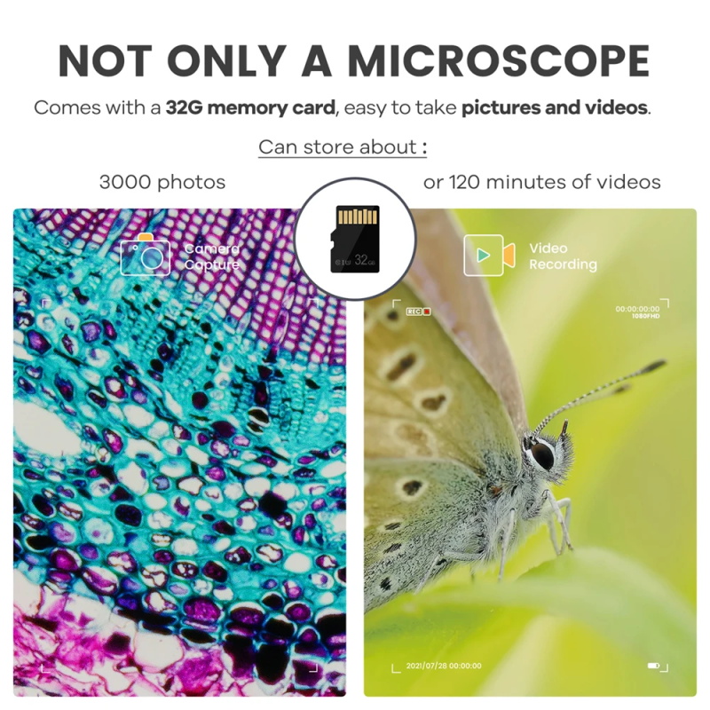 Microscope numérique HDMI USB