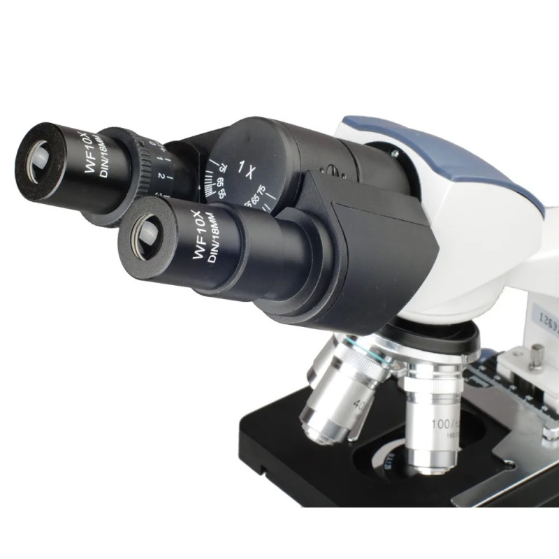 Binocular compound microscope