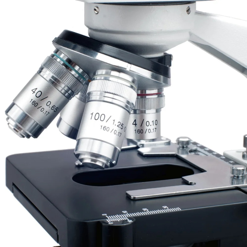 Binocular compound microscope