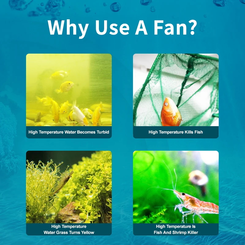 Aquarium fan