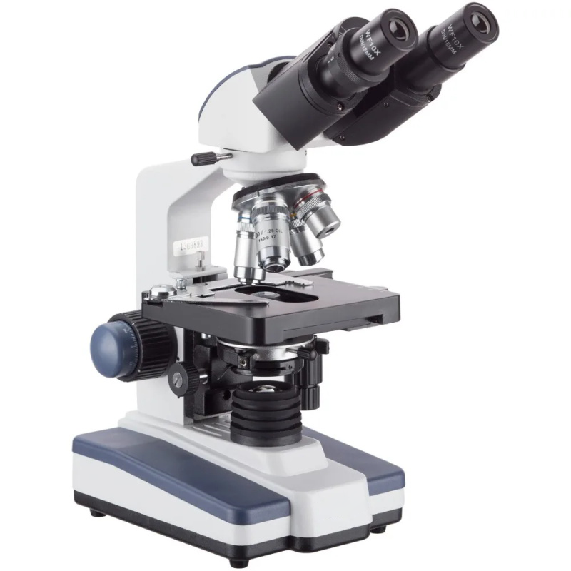 Binocular compound microscope