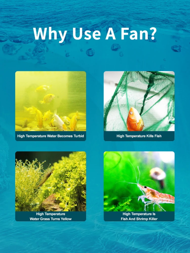 Aquarium fan