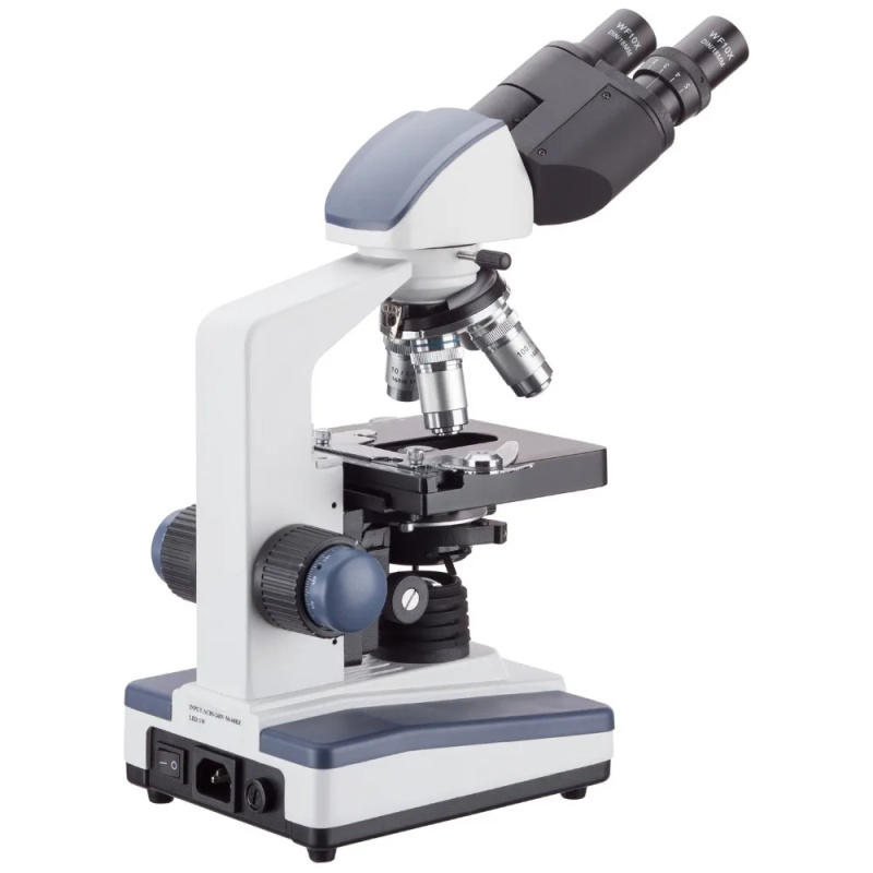 Binocular compound microscope