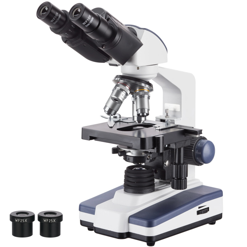 Binocular compound microscope