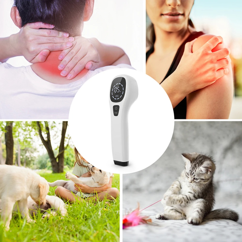 Body pain laser therapy device